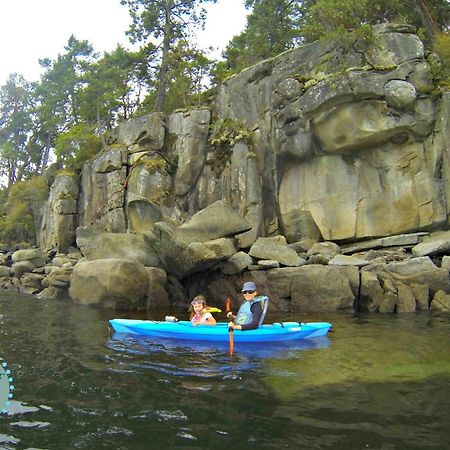 Cowichan Valley Guest Cottage Лейдисмит Екстериор снимка
