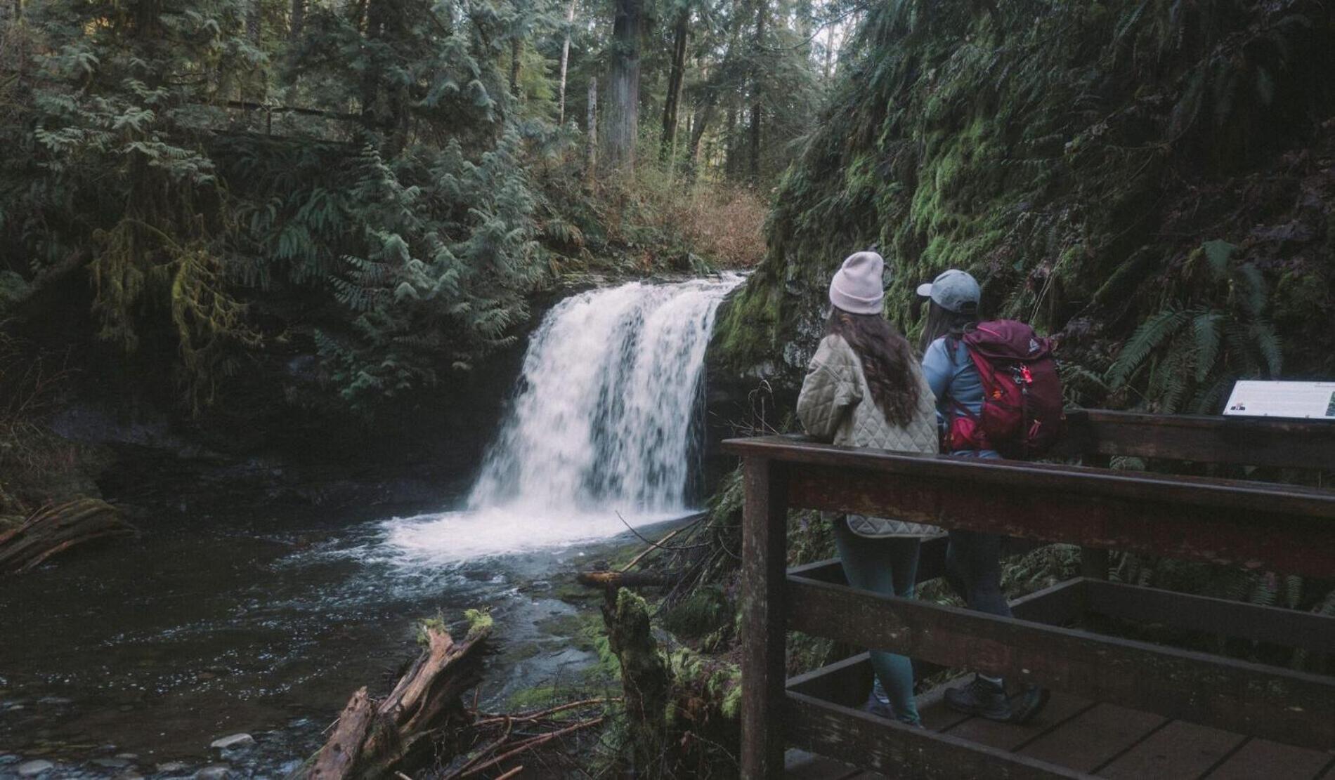 Cowichan Valley Guest Cottage Лейдисмит Екстериор снимка