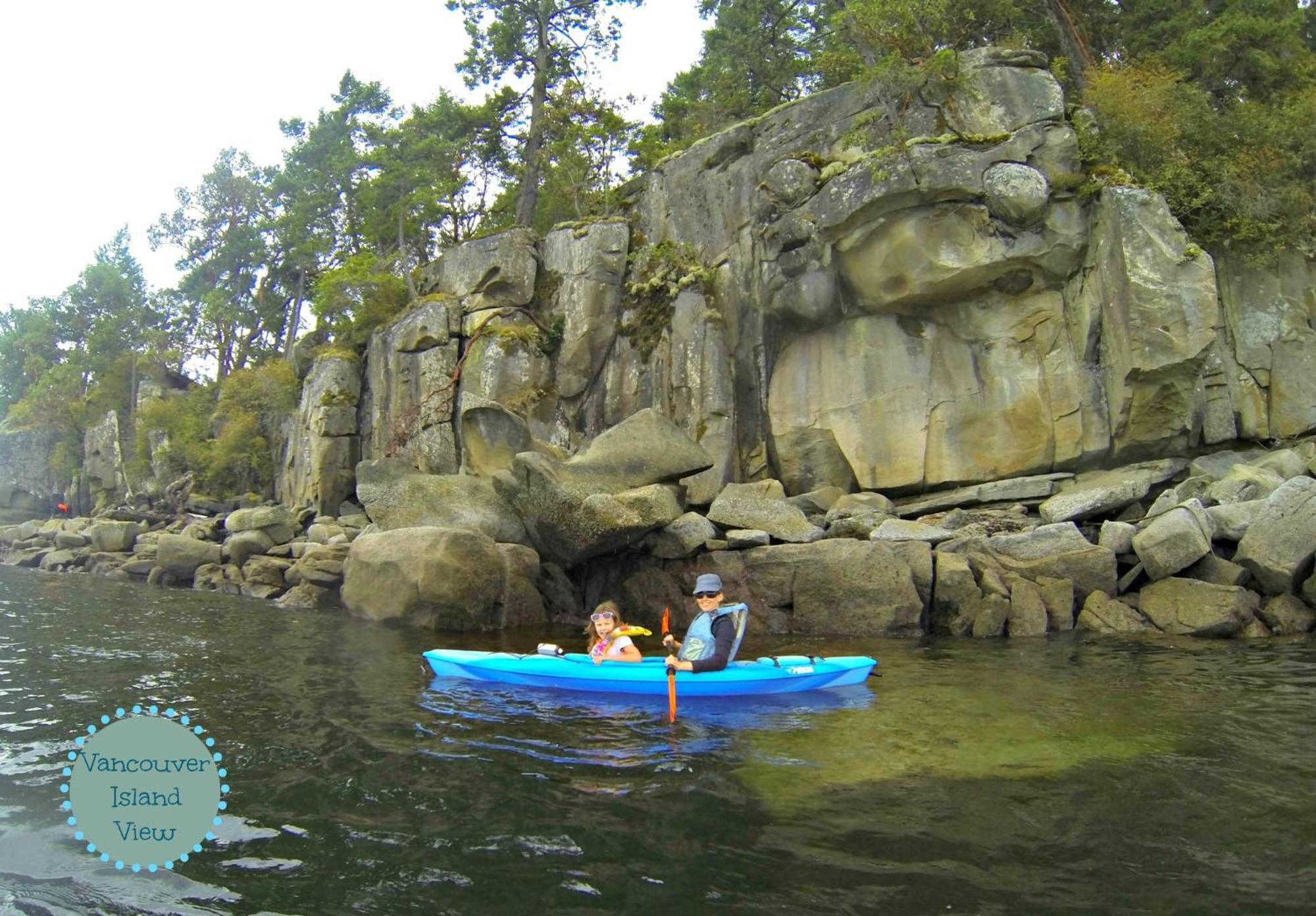 Cowichan Valley Guest Cottage Лейдисмит Екстериор снимка