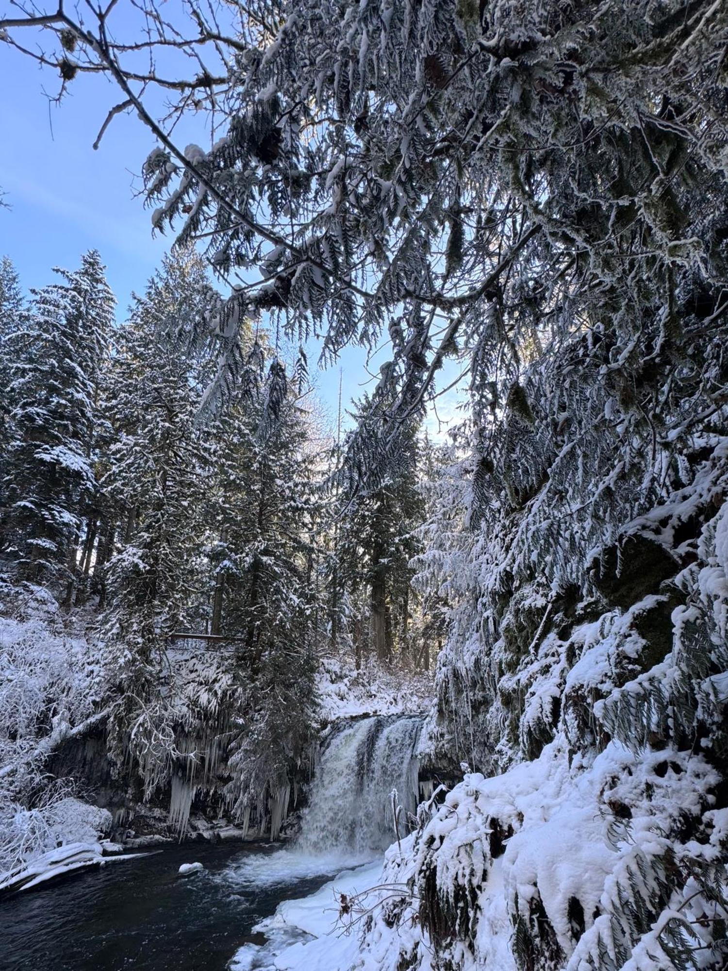 Cowichan Valley Guest Cottage Лейдисмит Екстериор снимка